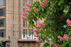 Manhattan High Line Apart 5