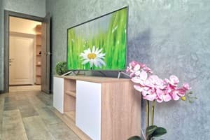 Квартира проспект Европейского Союза, 41. Апартаменты двухместный 7 этаж 7